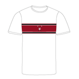 Harvard Men's Lightweight Crew Striped Bespoke Gym T-Shirt