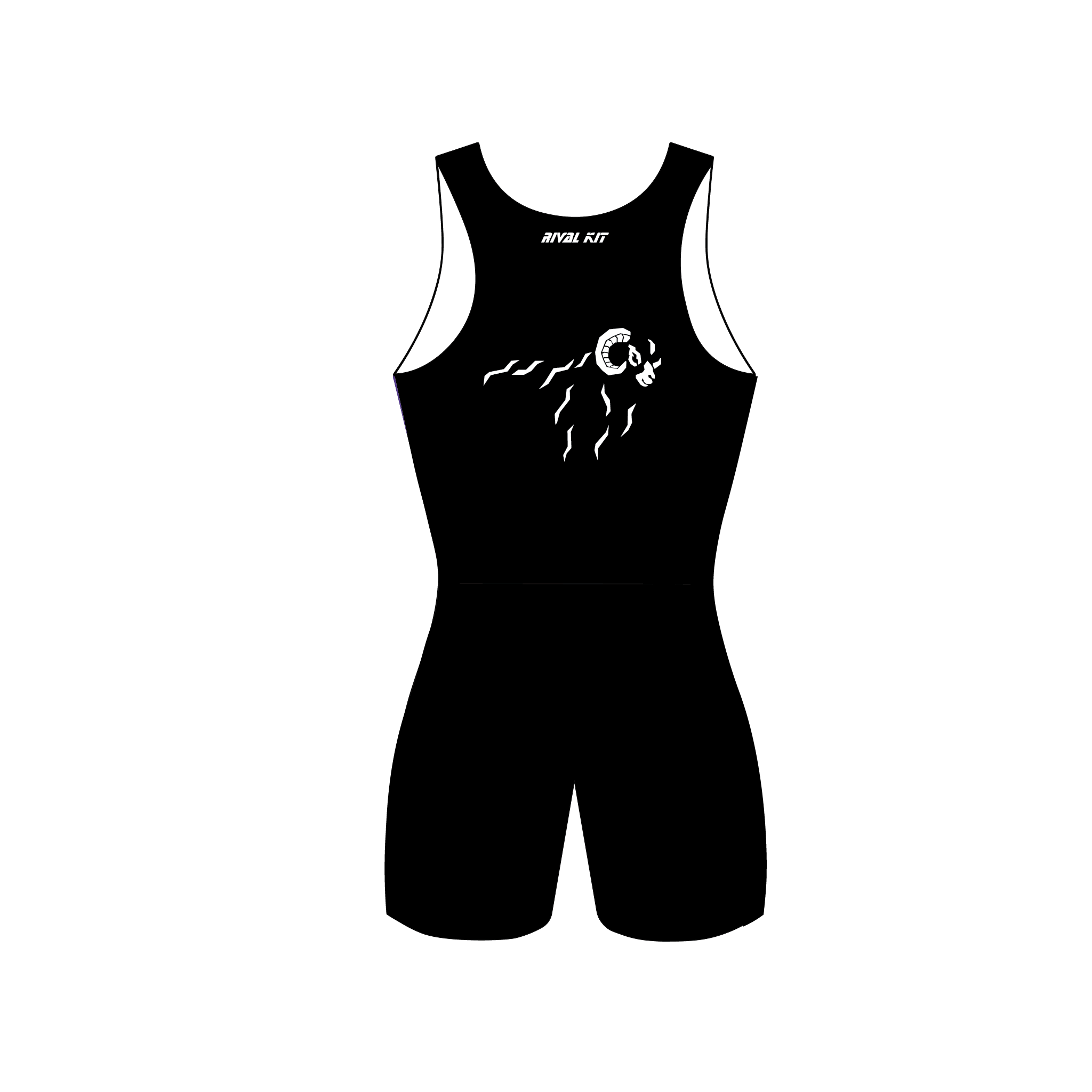 Black Sheep RC Racing AIO 2