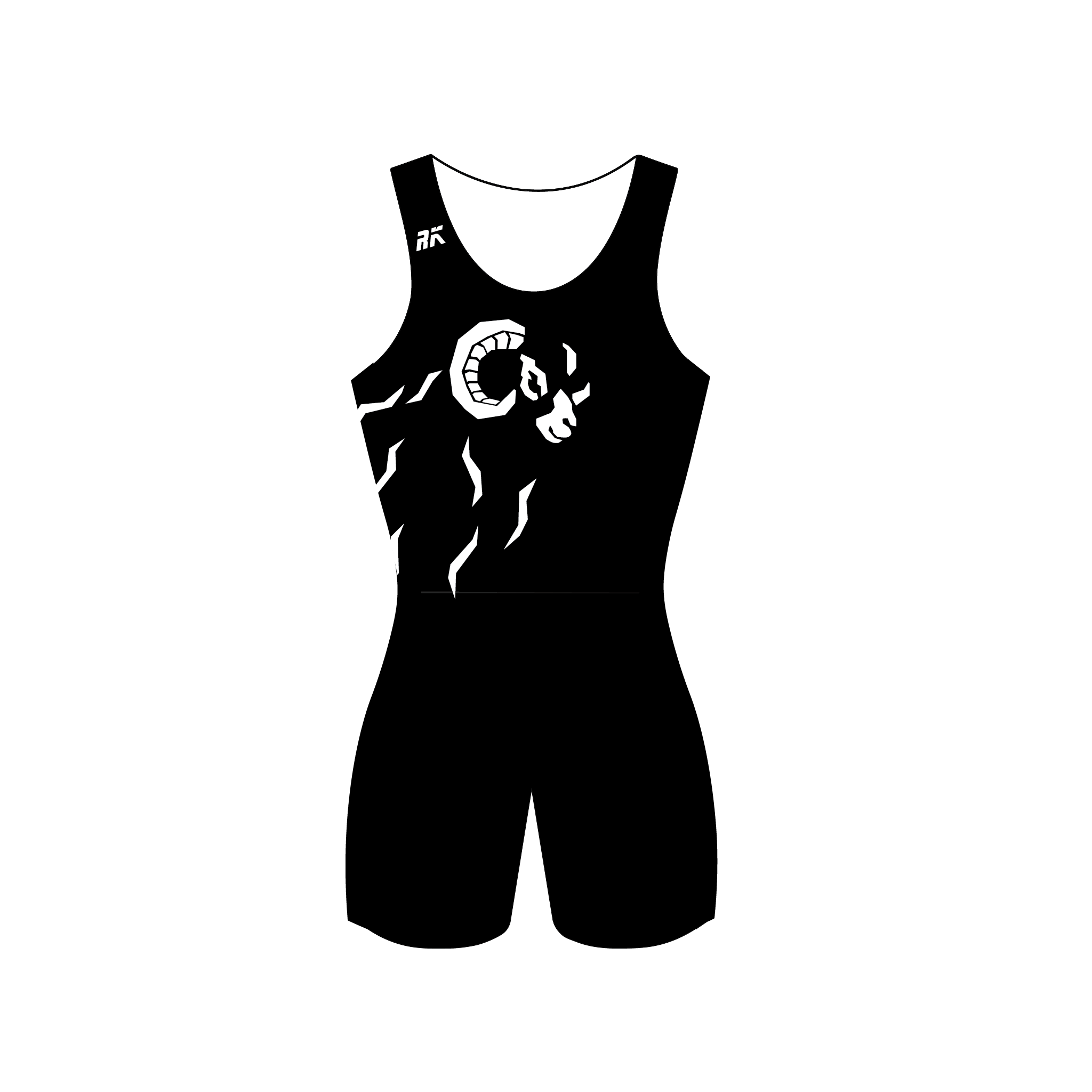 Black Sheep RC Racing AIO